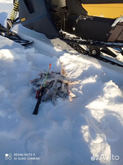 Снегоход Тикси 250 Люкс