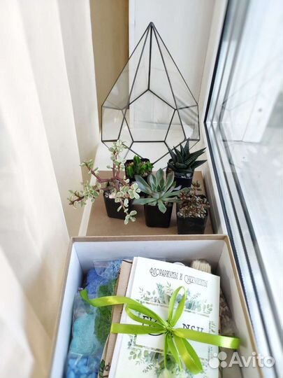 Набор для создания флорариума