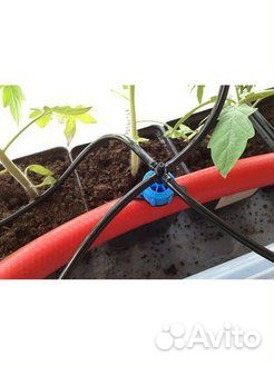 Капельное орошение