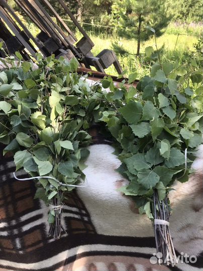 Свежие веники