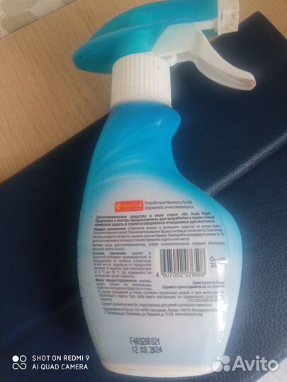 Для котят. Приучение к месту