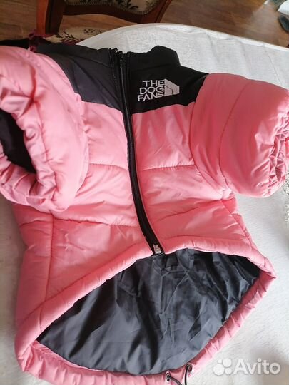 Курточка для красавицы средней породы