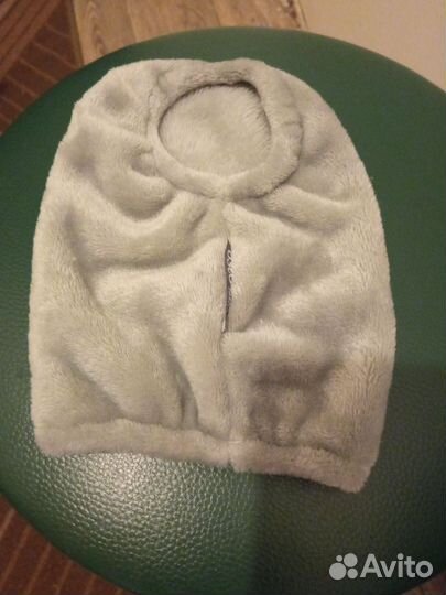 Домашние животные собаки