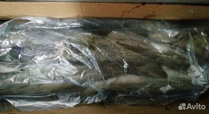 Треска свежемороженая, июль 2023