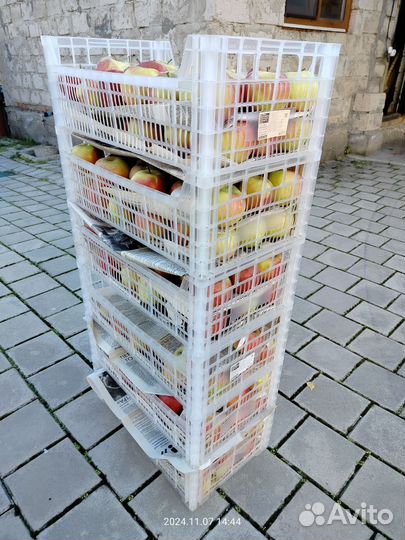 Яблоки домашние