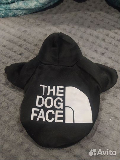 Одежда для собак