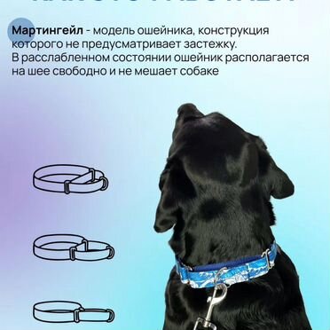 Ошейник для собак