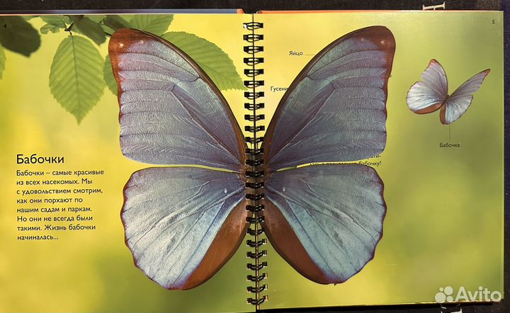 Книги махаон