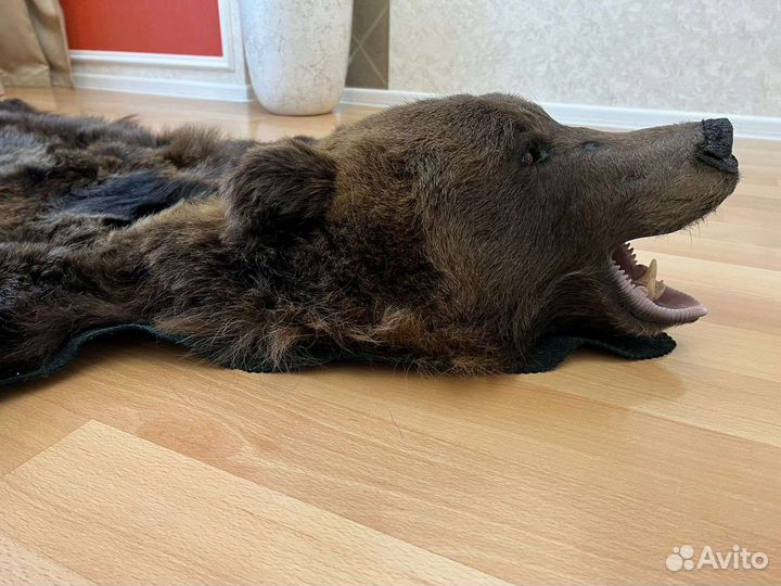 Шкура медведя имитация