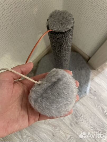 Когтеточка для кошек