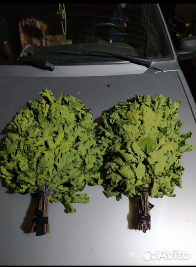 Веники для бани дуб, пихта