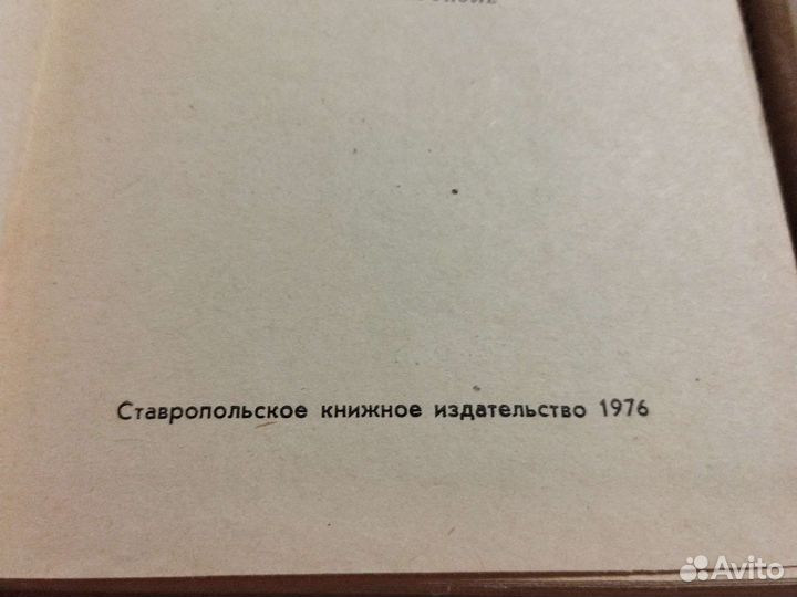 Крепость в степи