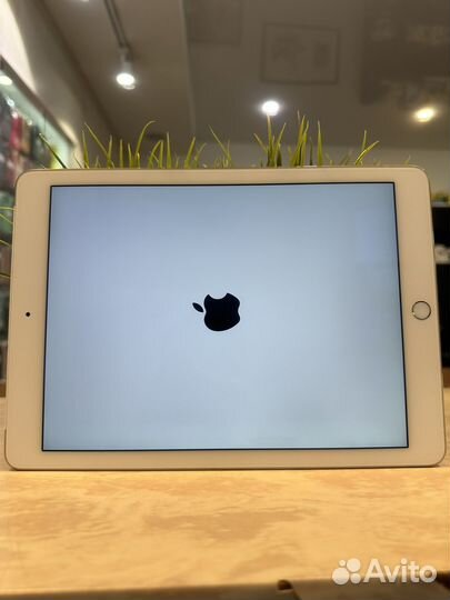iPad Air 2 128GB Wifi+Cellular Gold