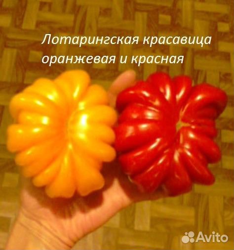 Семена томатов и перцев редких экзотических сортов