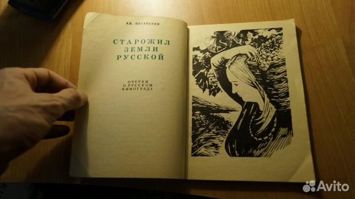 Потапенко А. Старожил земли русской. Очерки о рус