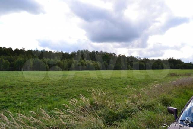 Участок 4 га (СНТ, ДНП)