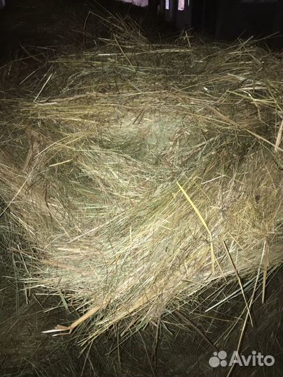 Сено,сенах.Разотравие,посевное