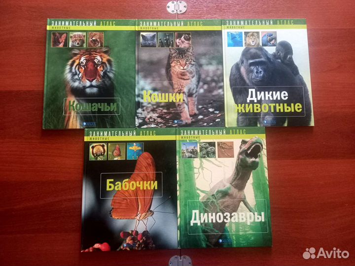 Энциклопедия 