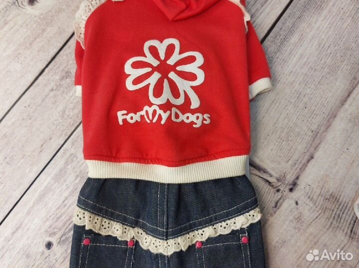 Одежда для собак