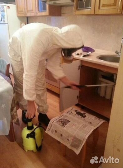 Средство для Дезинфекции Уничтожения тараканов клопов насекомых