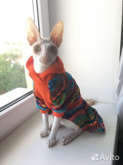 Одежда для кошек, мелких собак