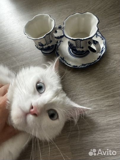Набор кофейных чашек с бдюдцем гжель фарфор
