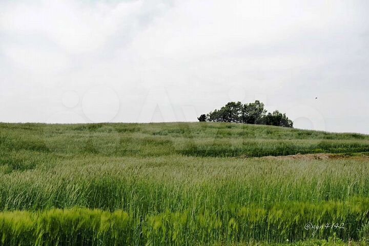 Участок 13 га (ИЖС)