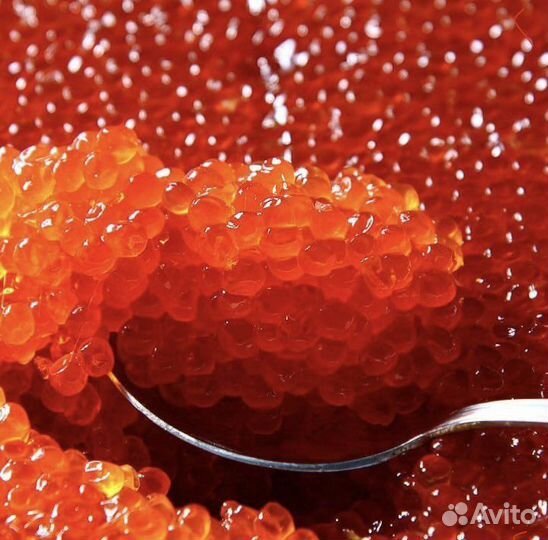 Икра Горбуши 2023