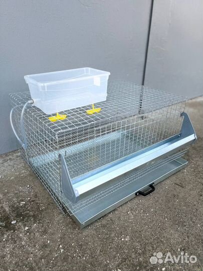 Клетка для перепелок на 20-25 голов