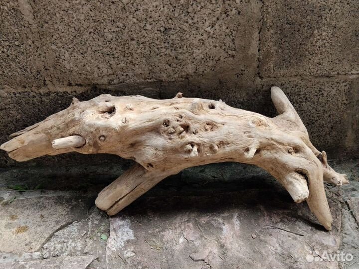 Коряга дрифт-вуд