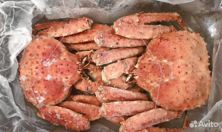 Краб Камчатский