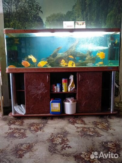 Аквариумы от 30до 720литров фирменный б/у