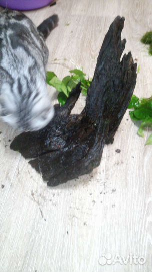 Коряга для аквариума. Тонет