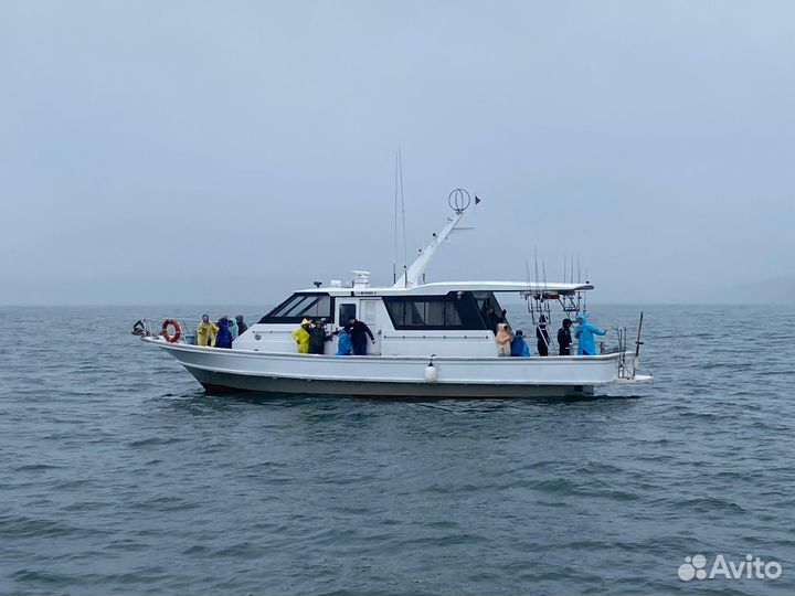 Морская прогулка