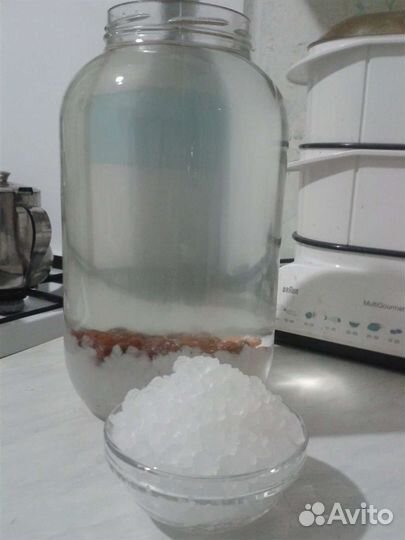 Индийский морской рис