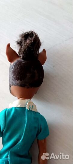 Кукла Монстер Хай. Семья Вульф