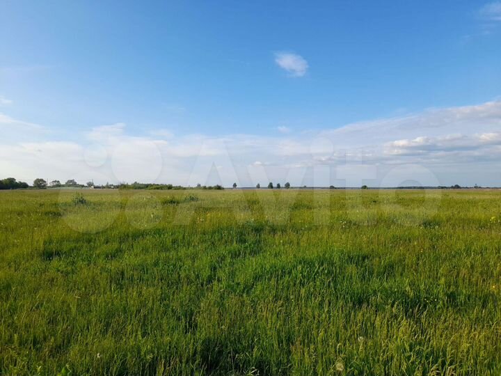 Участок 1,24 га (СНТ, ДНП)