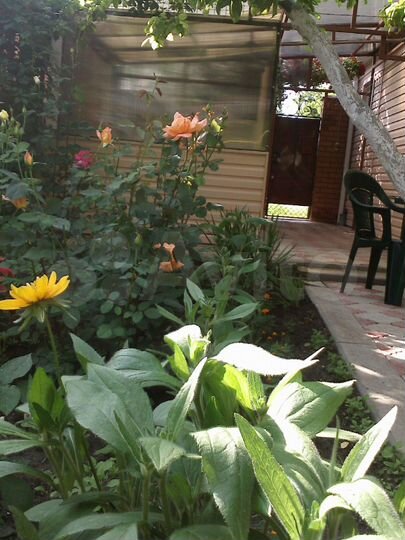 Комната 12 м² в 1-к., 1/1 эт.