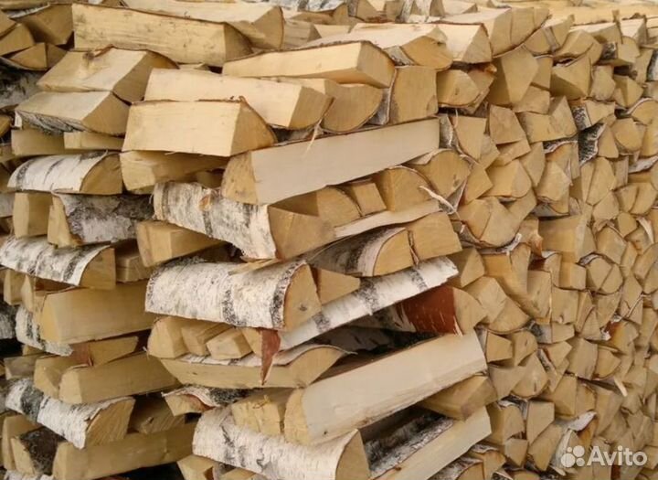 Дрова береза