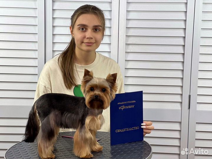 Грумер стрижка собак