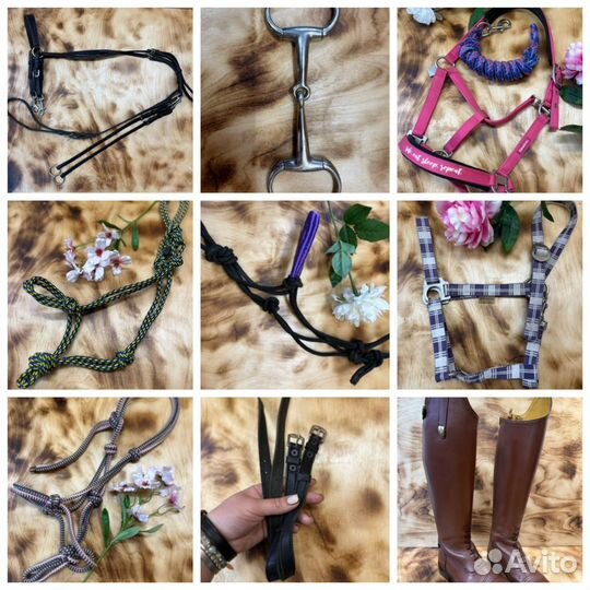 Краги для верховой езды