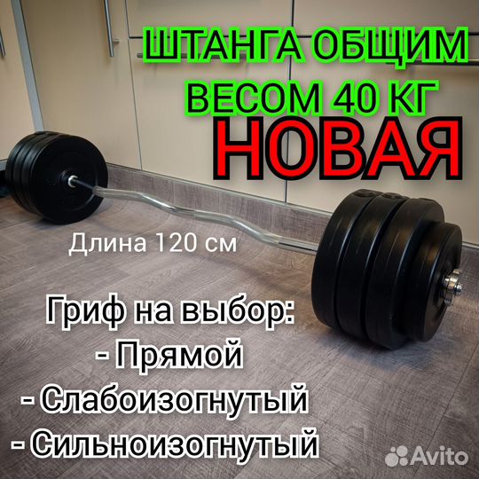 Штанга