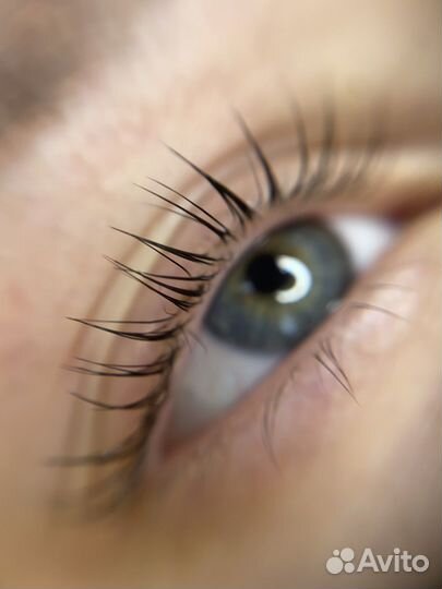 Наращивание ресниц, брови, ламинирование