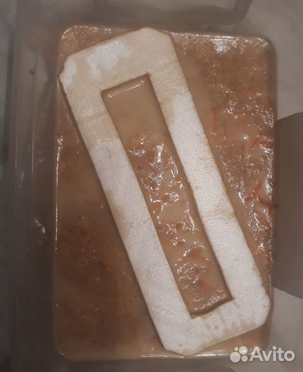 Культура нематоды для рыбок