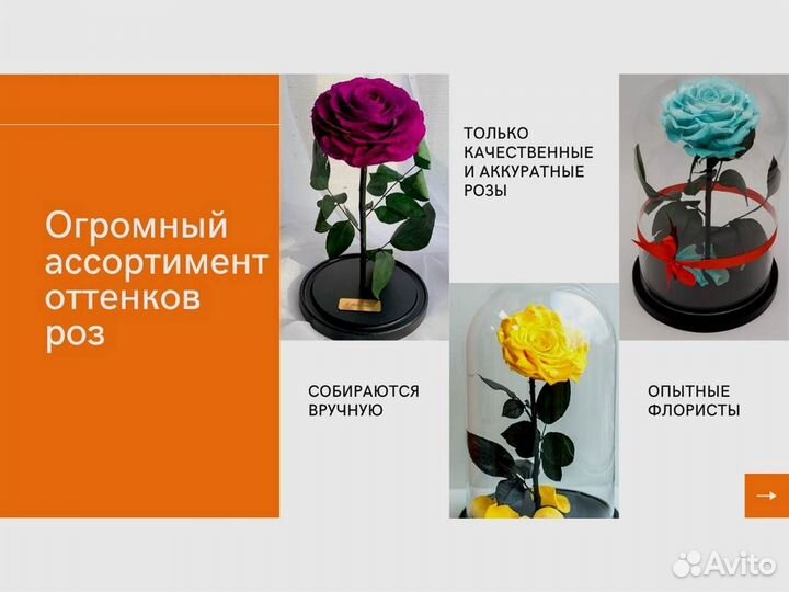 Роза в колбе. Неувядающая