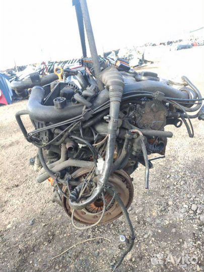 Avb Двигатель Volkswagen Passat B5 2002 1.9 дизель