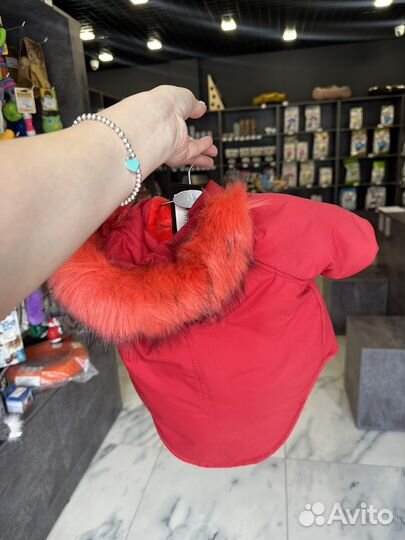 Одежда для животных оптом