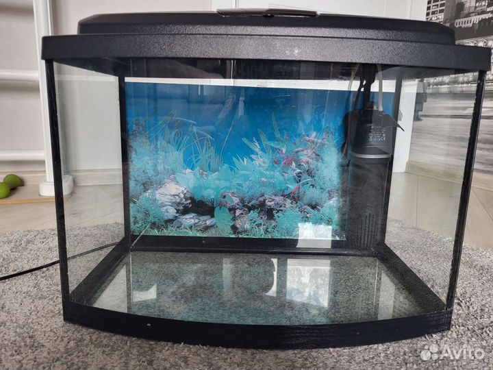 Аквариум