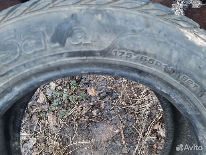 Sava Eskimo Stud 175/65 R14 82T