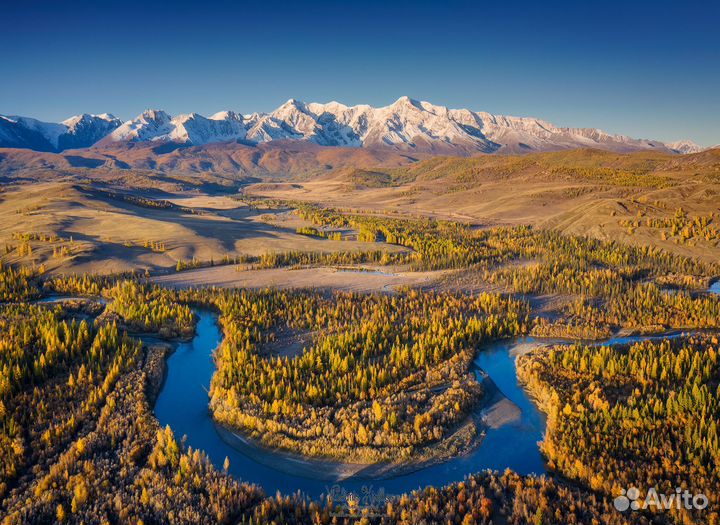 Авторский тур на Алтай